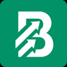 Budgetnik logo